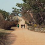 Free stock photo of animal, asia, attraction