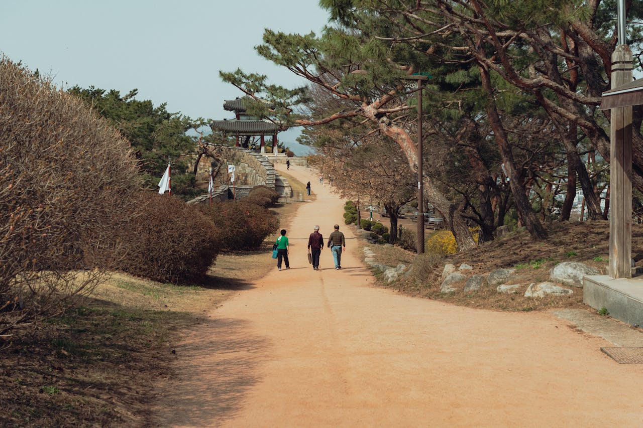 Free stock photo of animal, asia, attraction